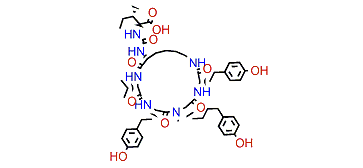 Pompanopeptin B